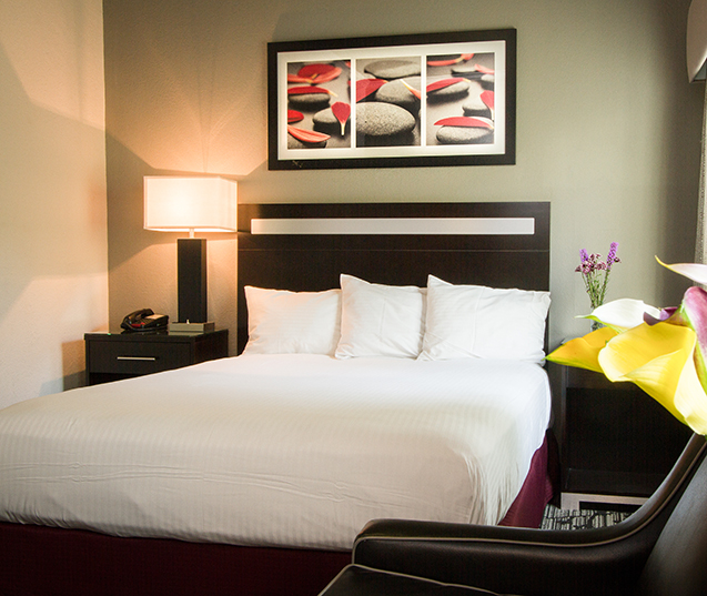 ESCAPE, RELAX AND IMMERSE YOURSELF IN THE ABSOLUTE COMFORT OF OUR GUESTROOMS