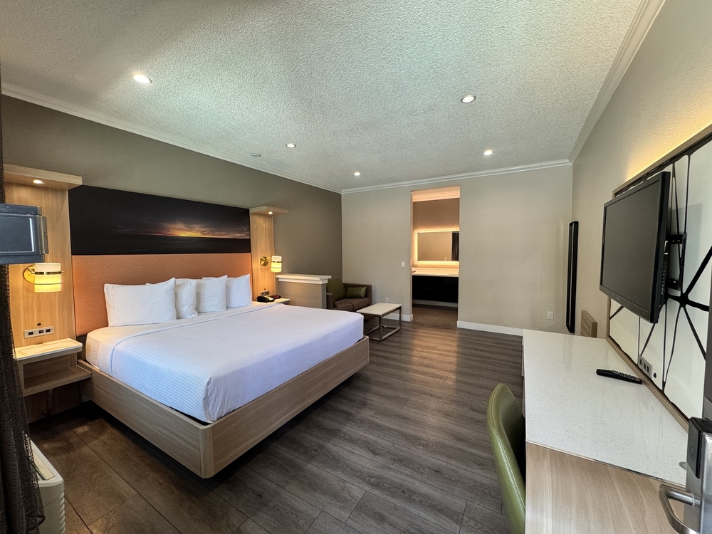 Superior King Suite w Sofabed
